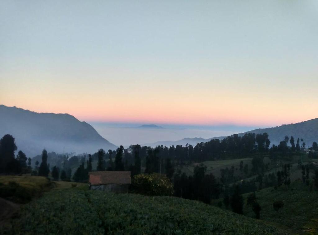 Bromo Otix Guest House Luaran gambar