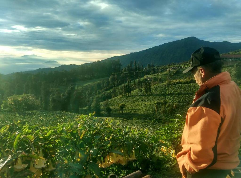 Bromo Otix Guest House Luaran gambar